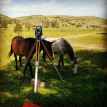 horse-surveying